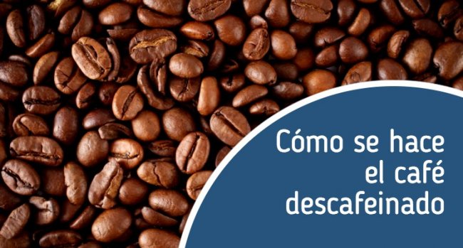 Cómo se hace el café descafeinado